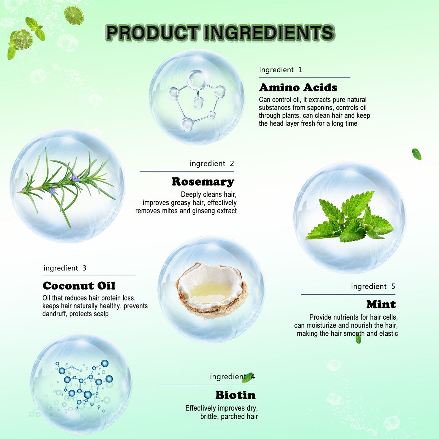 EELHOE - Rosemary Mint Shampoo