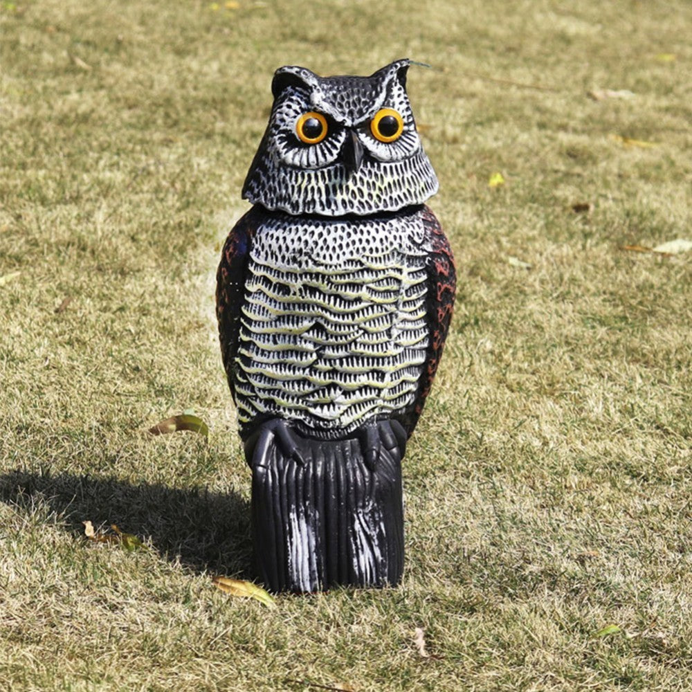 Outdoor Animal Model
