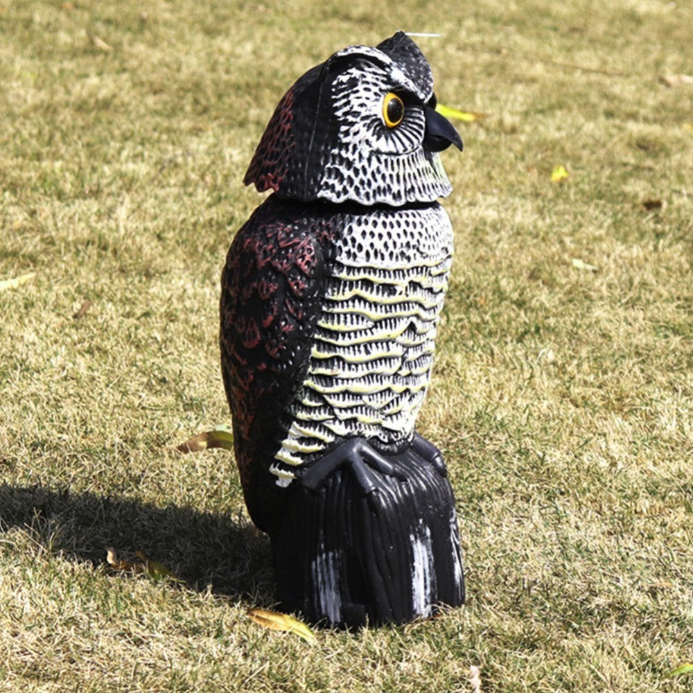 Outdoor Animal Model