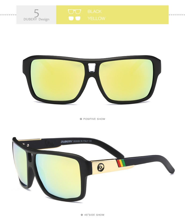 Men's Polarized Sunglasses