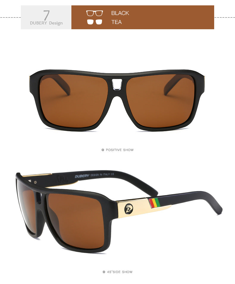 Men's Polarized Sunglasses
