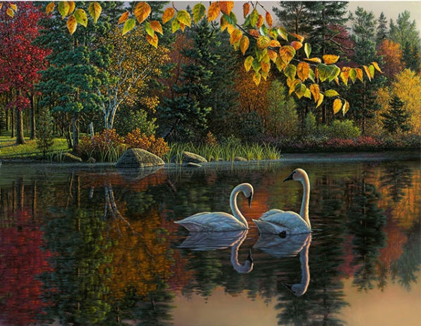 Swans Painting