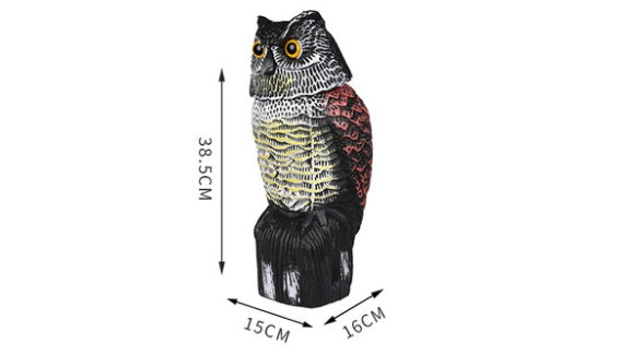 Outdoor Animal Model