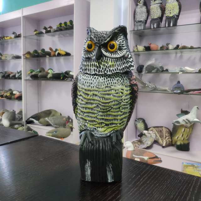Outdoor Animal Model