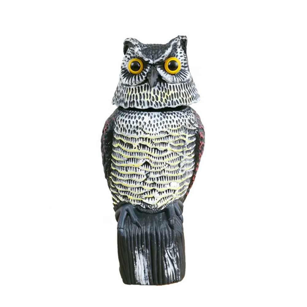 Outdoor Animal Model