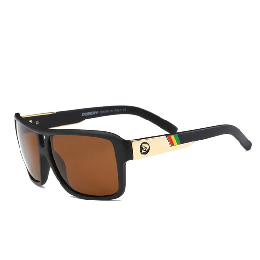 Men's Polarized Sunglasses