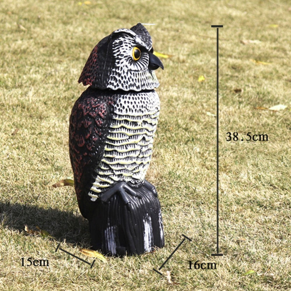 Outdoor Animal Model
