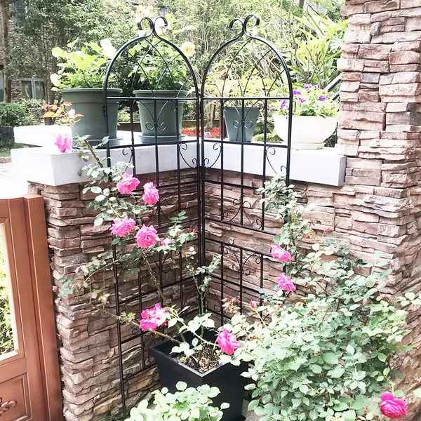 2 Pack Metal Garden Trellis 71" X 19.7" Rustproof