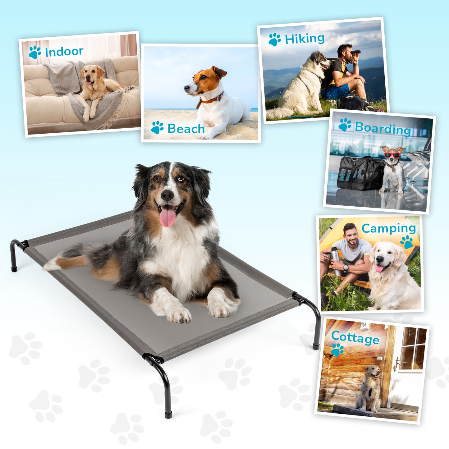 Pet Beds