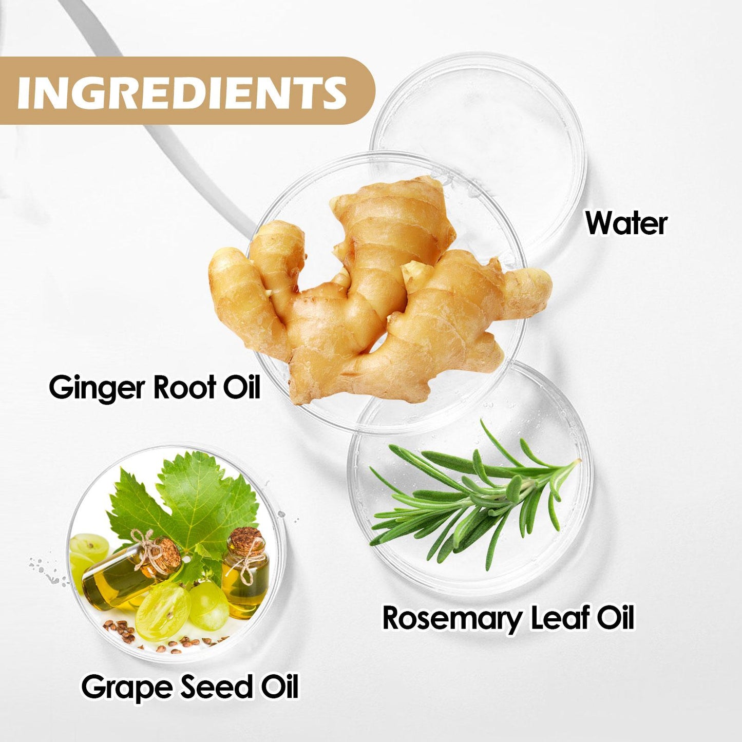 EELHOE - Beard Care Oil