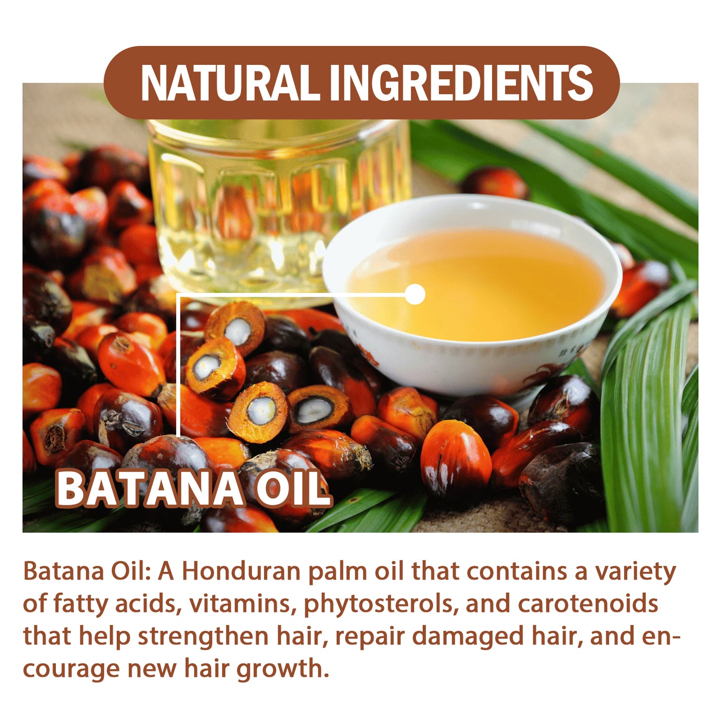 EELHOE - Batana Oil