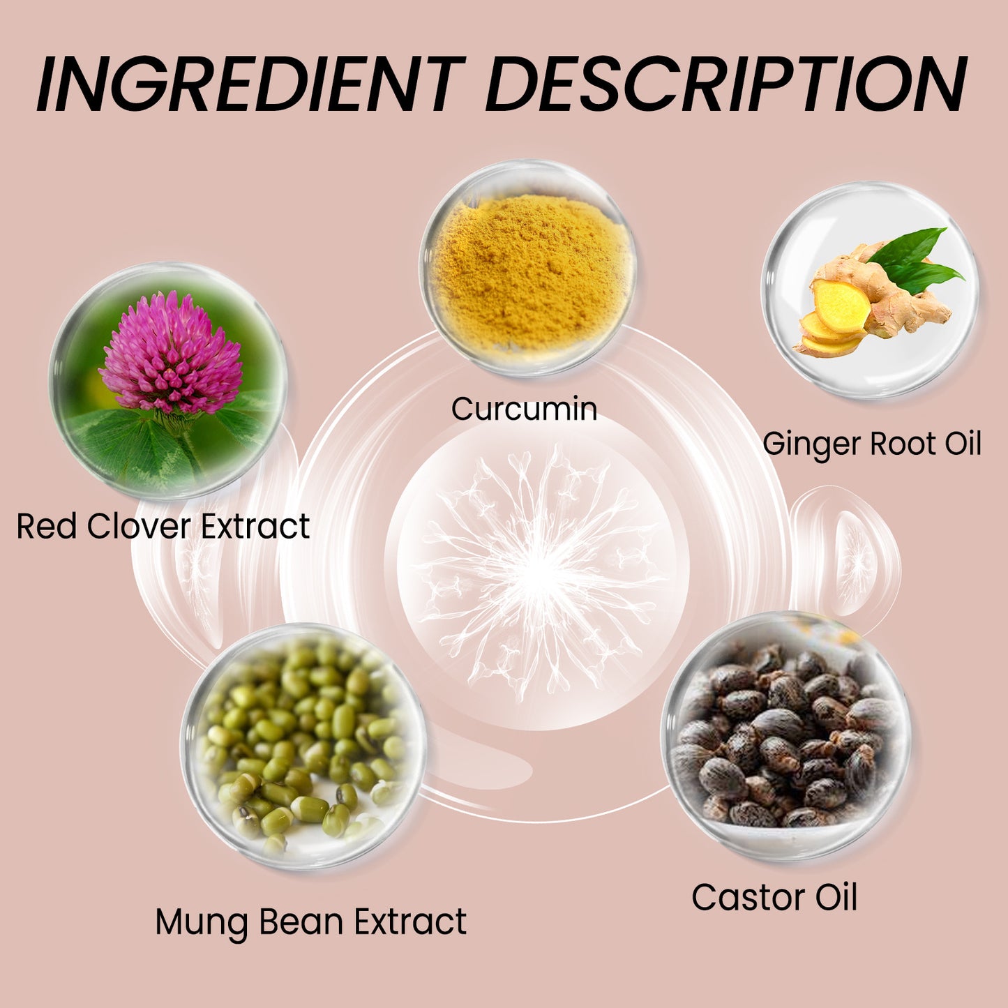 EELHOE - Hair Regrowth Serum