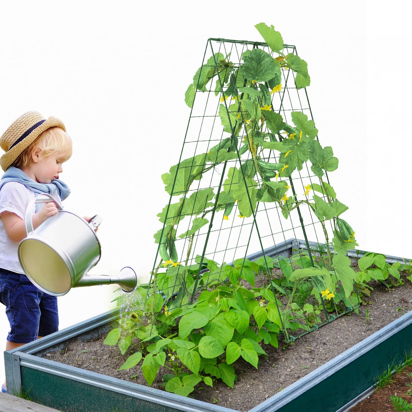 A-Frame Cucumber Trellis 46' X 32' Foldable Metal Garden Trellis