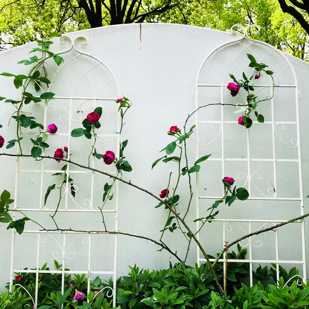 2 Pack Metal Garden Trellis 71" X 19.7" Rustproof