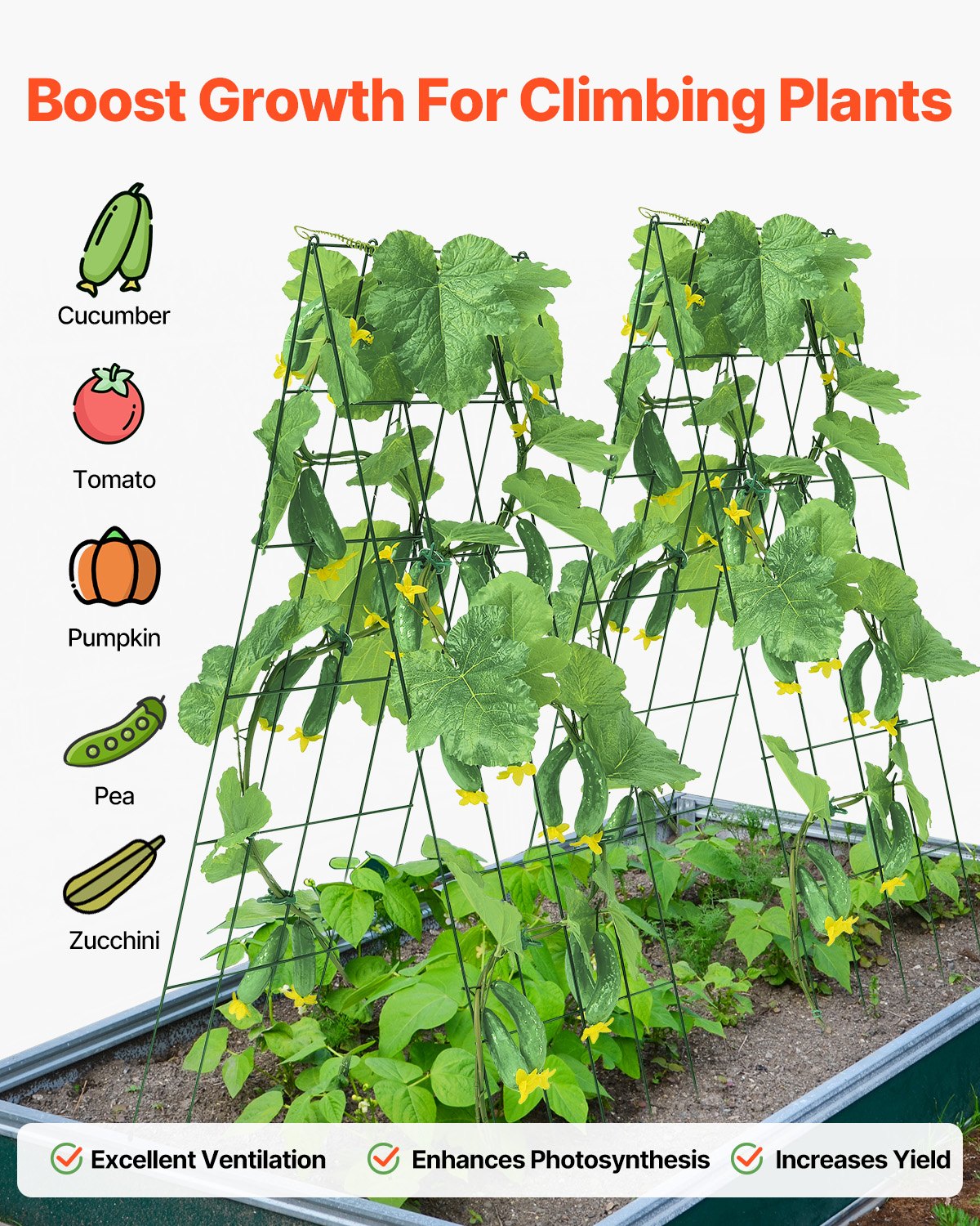 A-Frame Cucumber Trellis 39'  X 32' Foldable Metal Garden Trellis